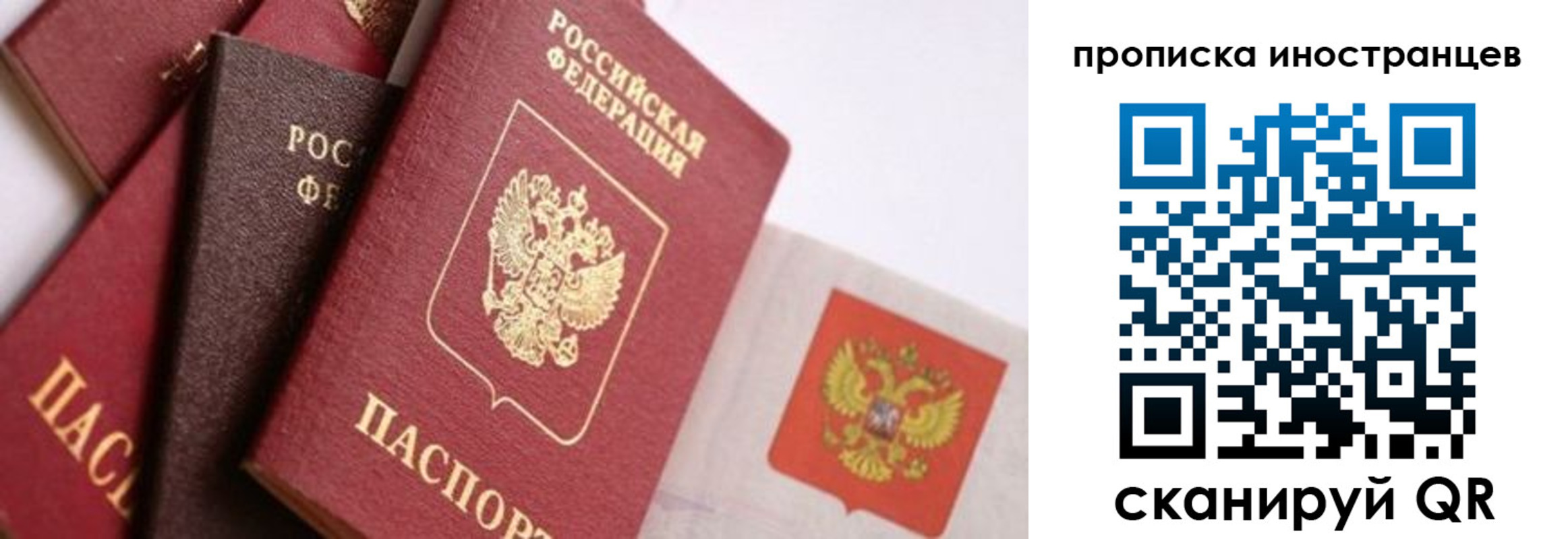 регистрация для школы в Дорогобуже